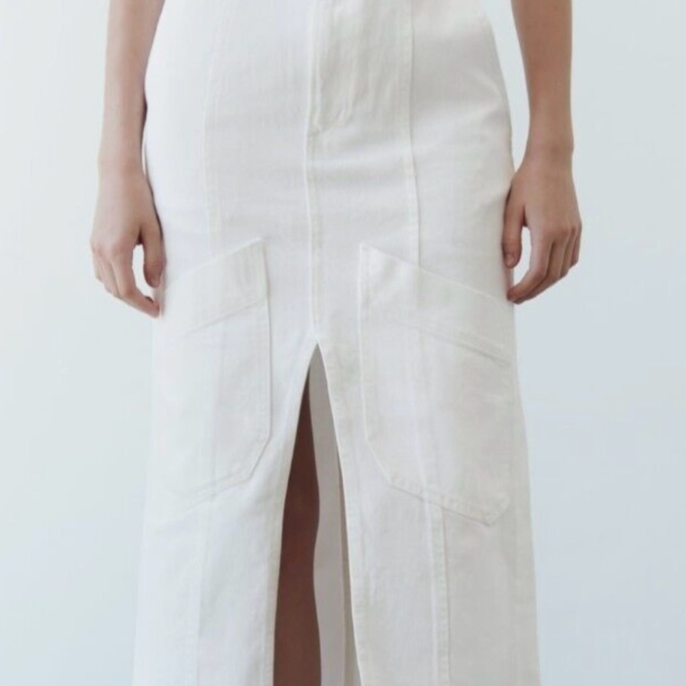 Zara Midi Skirt - Picture 2 of 8
